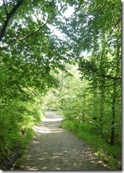 birks path2