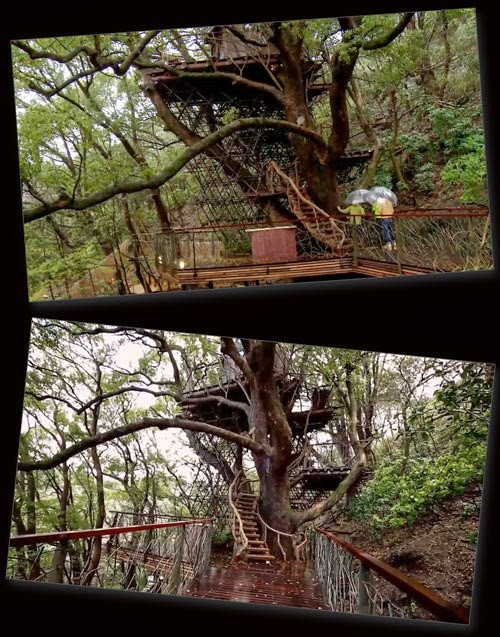 Japanese treehouse