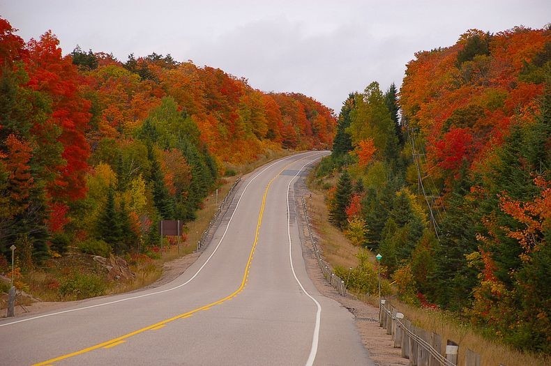 Algonquin- Park-10