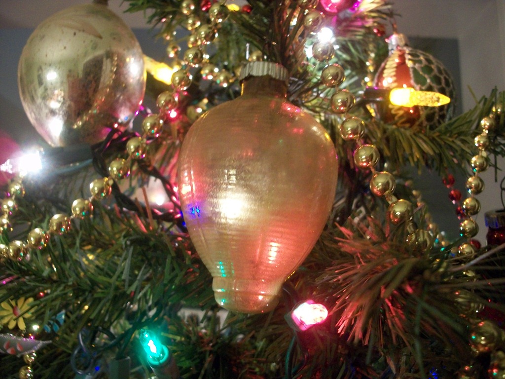 [christmas-trees-2011-0114.jpg]
