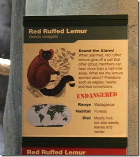 lemur sign