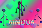 Window