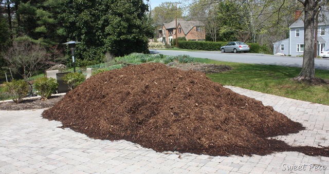 [Mulch%255B3%255D.jpg]