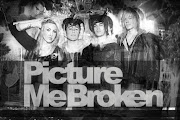 Picture Me Broken