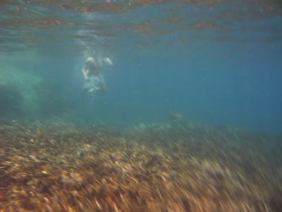 P1050311.JPG