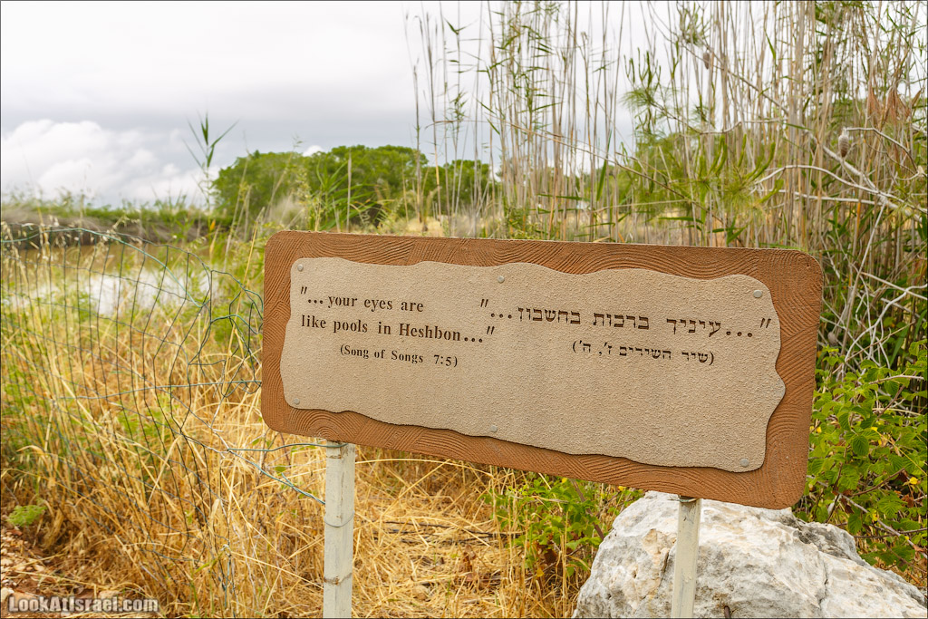 Неот Кдумим - Заповедник библейской природы | נאות קדומים