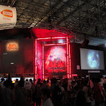 tokyo game show 2009 in japan in Tokyo, Japan 