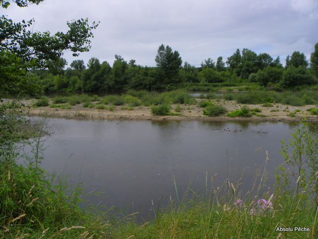 Loire au niveau d&#039;Épercieux-Saint-Paul, amont, rive droite photo #1008