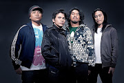 Spongecola