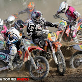 By Alessandra Tommei