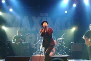 Maximo Park
