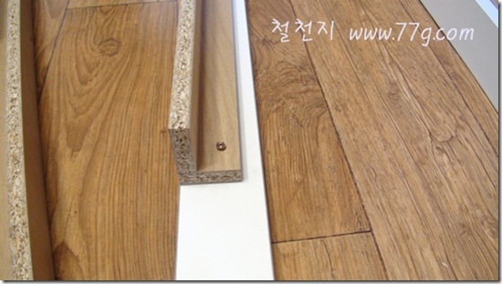 철천지DSC04767-20120324-145519