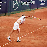 IMG_8508.jpg