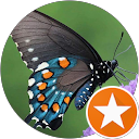 Image Google de Celine Gerberon