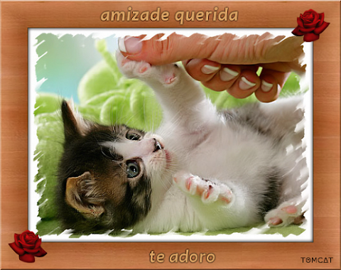 gato_03.png
