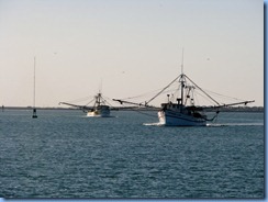6992 Texas, South Padre Island - Osprey Cruises - Sea Life Safari  -  shrimper