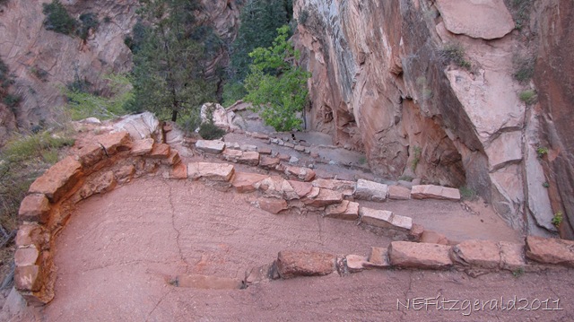 [IMG_9514Walters%2520WigglesZionNP%2520%255B6%255D.jpg]
