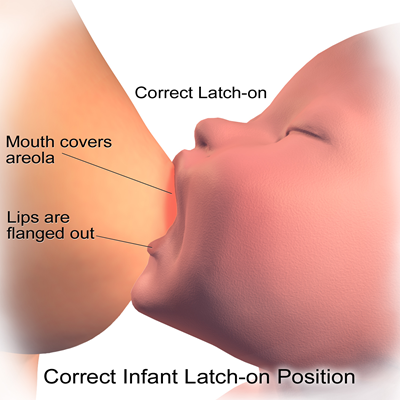 Breastfeeding-Correct-Latch-Myth