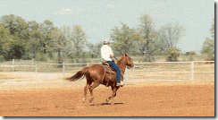 a_h_dave_riding2 a_h_dave_riding2