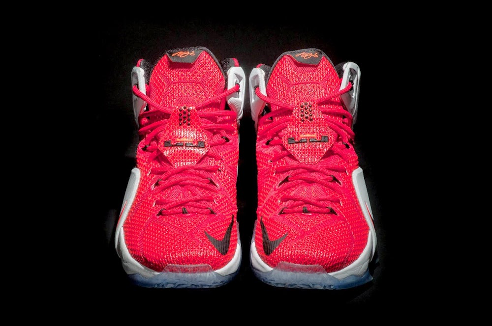 types of lebrons