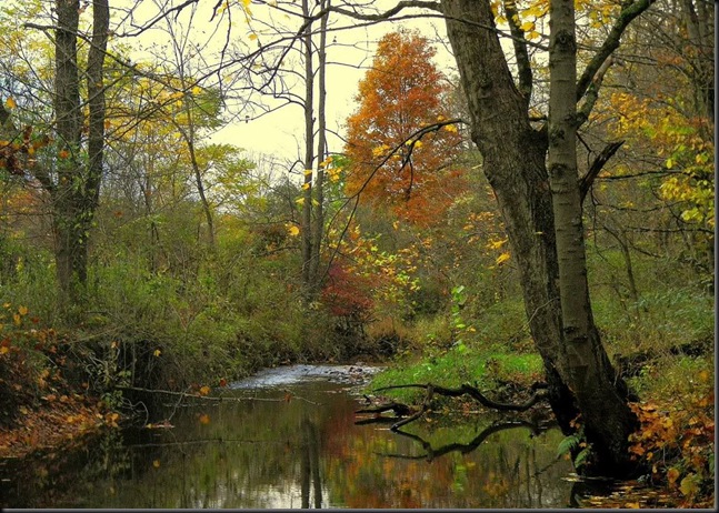 Autumn 11
