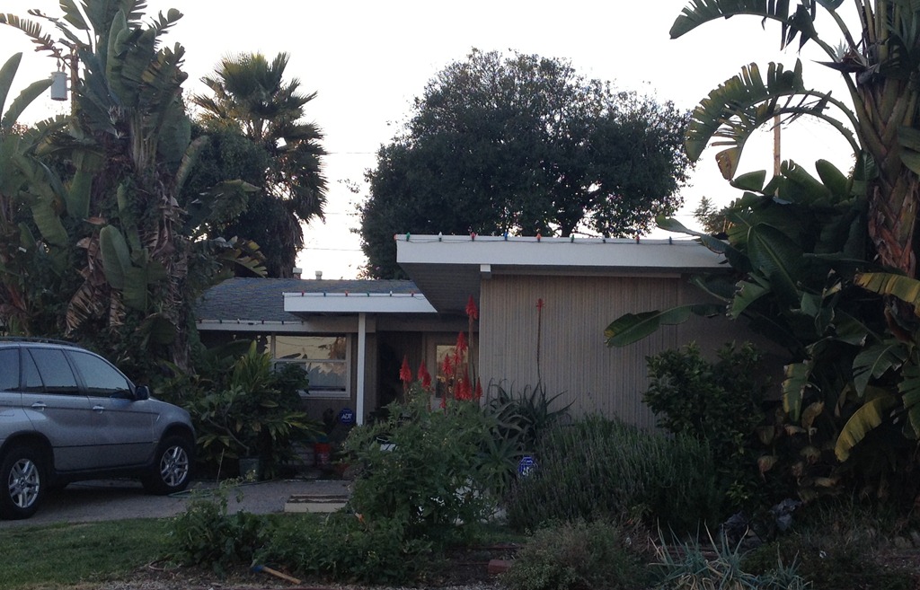 [Photo-Jan-11-4-38-25-PM3.jpg]