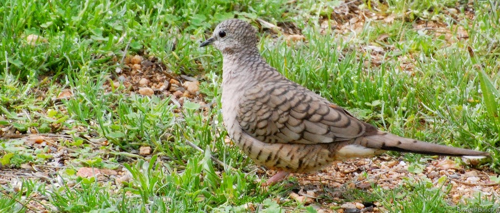 [DSC_3590%255B5%255D.jpg]