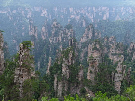 Imagini Avatar: Zhangjiajie National Park