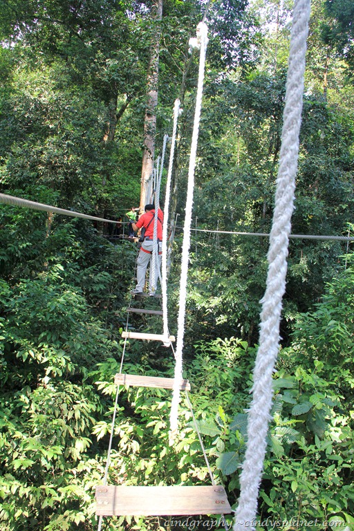 [SkyTrex554.jpg.webp]