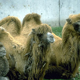 Mis imágenes antiguas 027.jpg