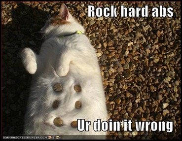 funny-pictures-your-cat-has-rock-hard-abs