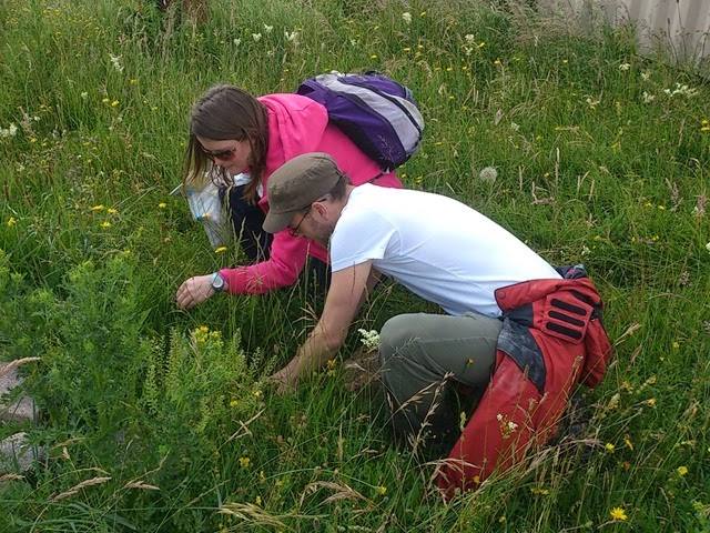 Keiron and Vicky hunting for earthworms on Salisbury Plain