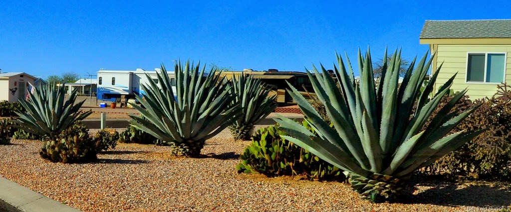 [DSC_0015%255B9%255D.jpg]