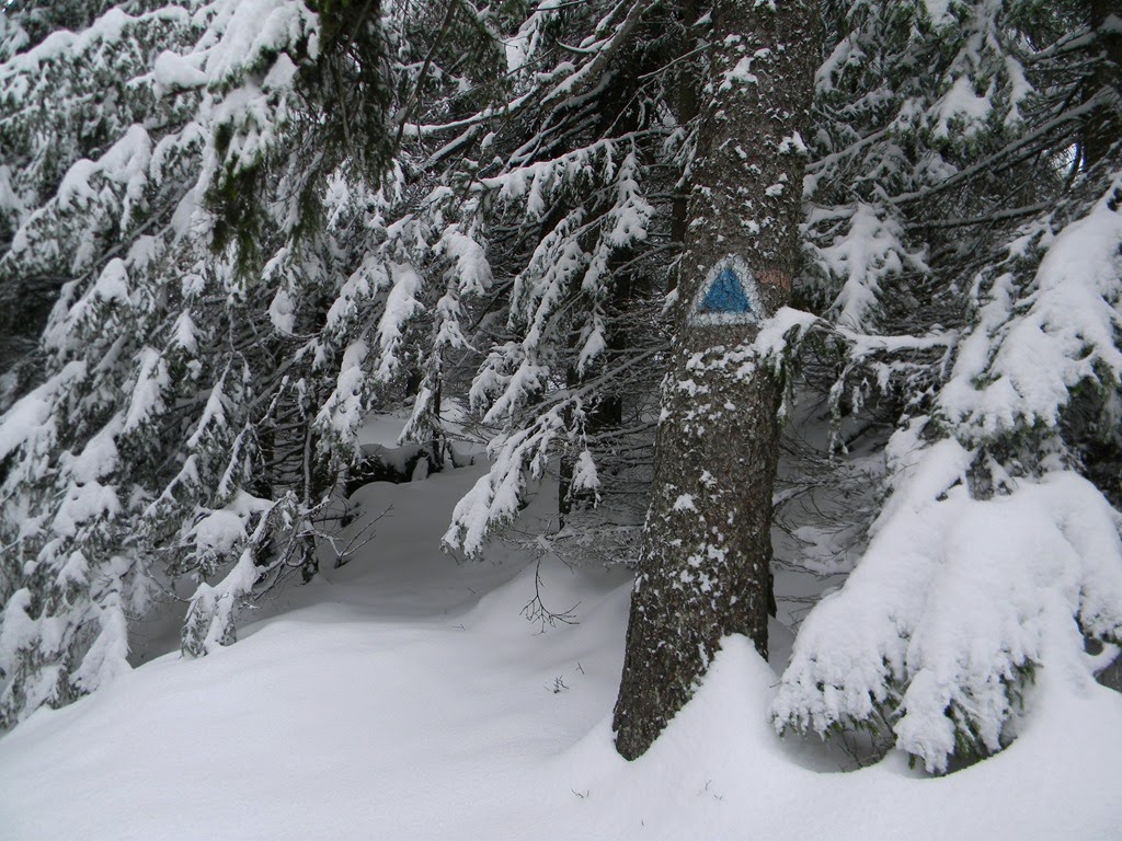 [DSCN06063.jpg]