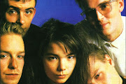 Sugarcubes