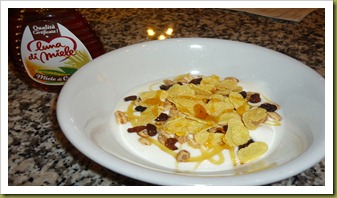Yogurt con cereali, uvetta e miele di castagno (3)