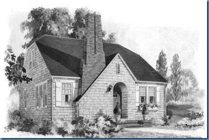MW_Kenwood_cat MW_Kenwood_cat