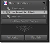 Example of publish services in lightroom