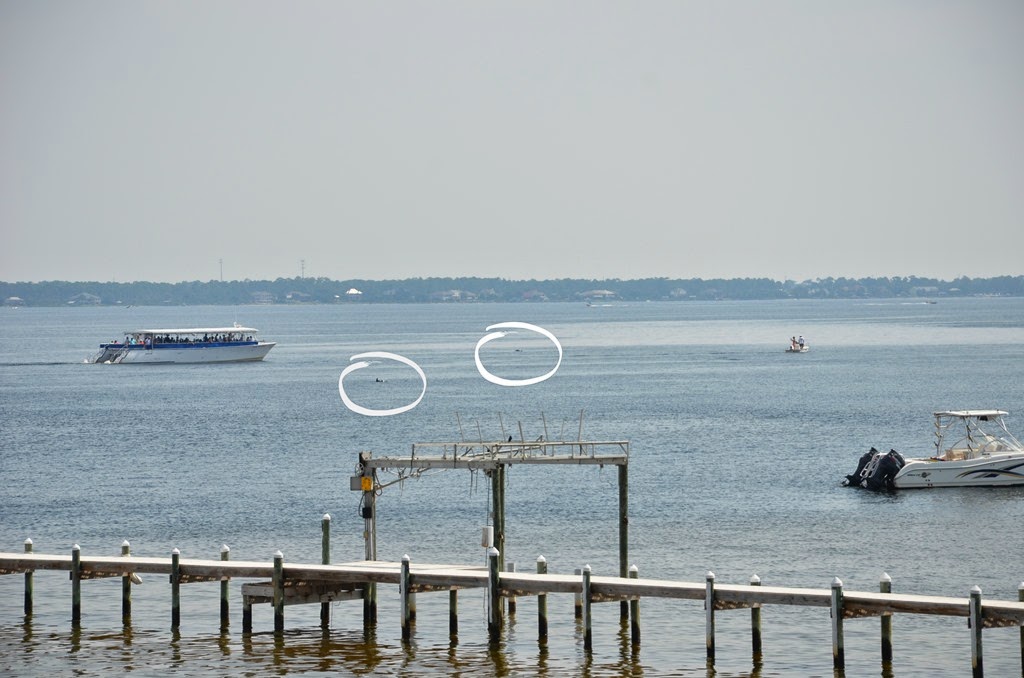 [DSC_2045-edited4.jpg]