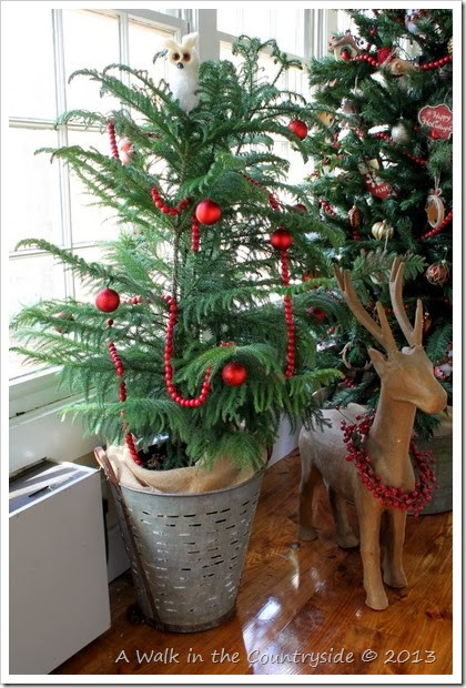 christmas tree in olive bucket