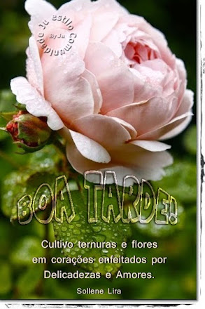 SOLLENELIRA_JU_ESTILO_021_CD_BT.jpg