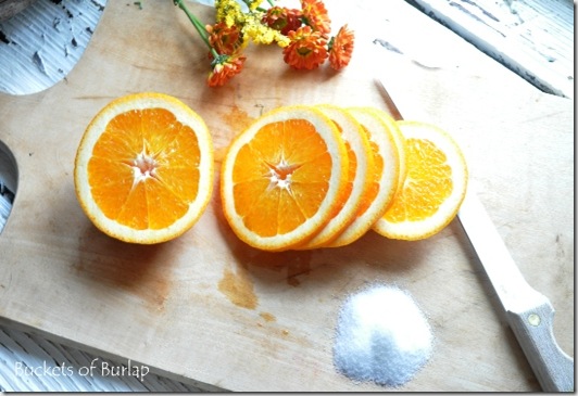 fatias de laranja