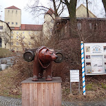 bear outside the weihenstephan brewery in Freising, Germany 