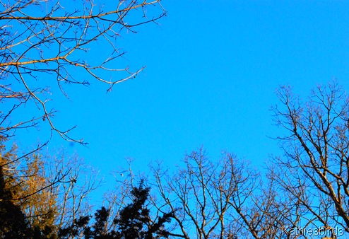 2. blue sky-kab