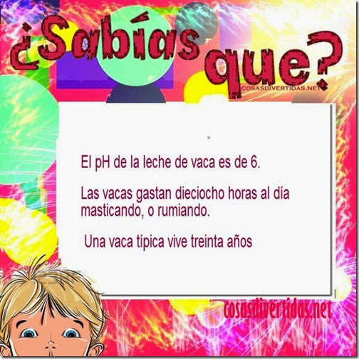 2 curiosidades cosasdivertidas net 6 3 2 curiosidades cosasdivertidas net 6 3