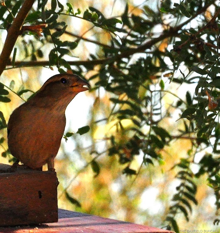 [DSC_0032%255B4%255D.jpg]