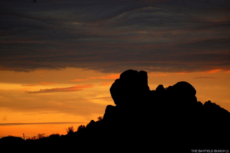 [DSC_5642-3%255B4%255D.jpg]