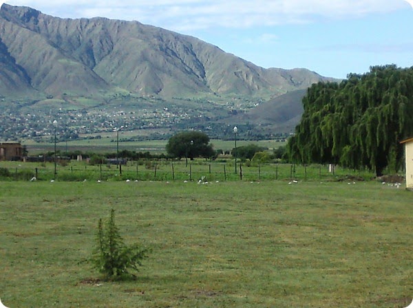 tafi_del_valle tafi_del_valle
