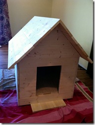 dog house_5