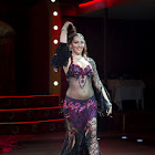 IMG_7341.jpg